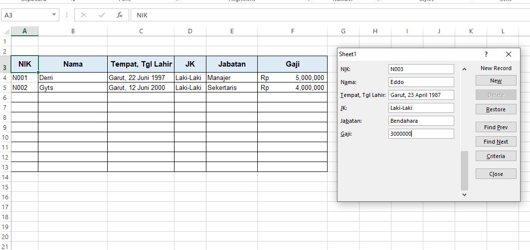 Pengisian Form Input Excel