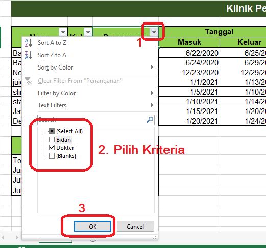 Filter data di Excel