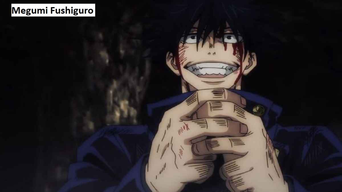 Megumi Fushiguro Jujutsu Kaisen