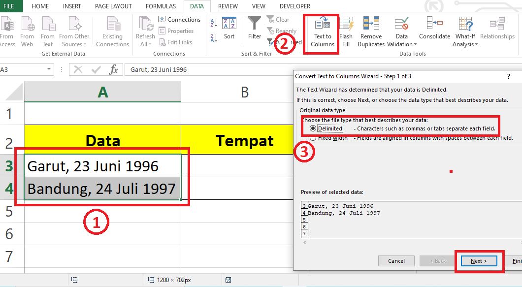 Cara Memisahkan Data Tempat dan Tanggal Lahir di Excel text to columns