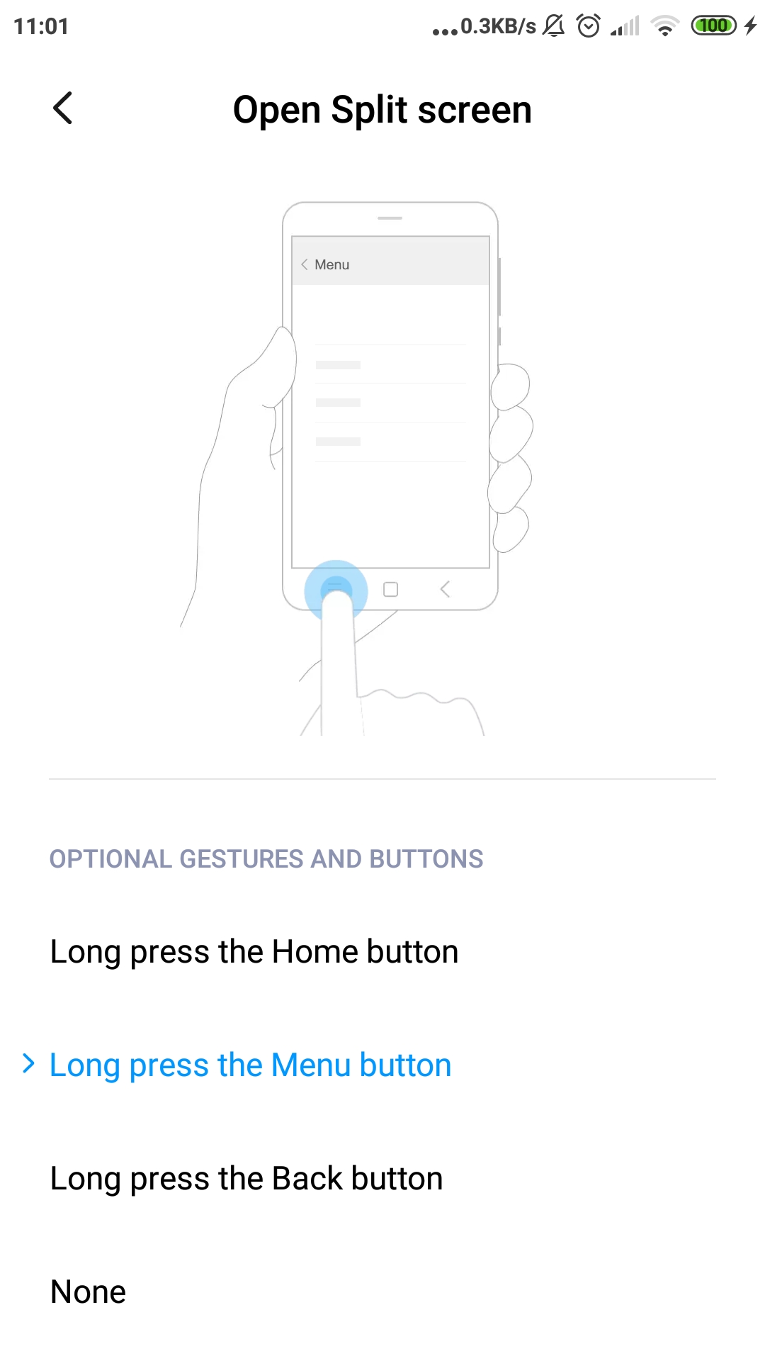 Button and Gesture Shortcuts xiaomi