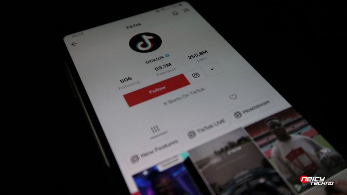Cara Mencari ID Tiktok Tanpa Aplikasi