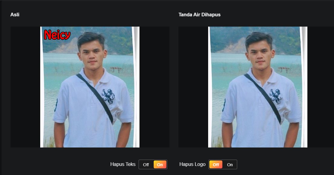 Cara Menghilangkan Watermark Gambar Online Gratis