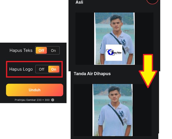 Cara Melihat Gambar Asli yang Sudah Ditutupi Stiker di HP Android Online Gratis Tanpa Aplikasi