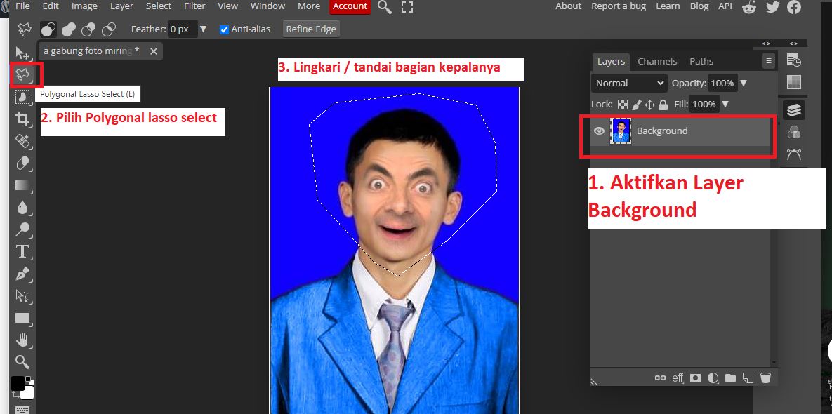 Cara Meluruskan Foto Kepala yang Miring Online Gratis Tanpa Aplikasi