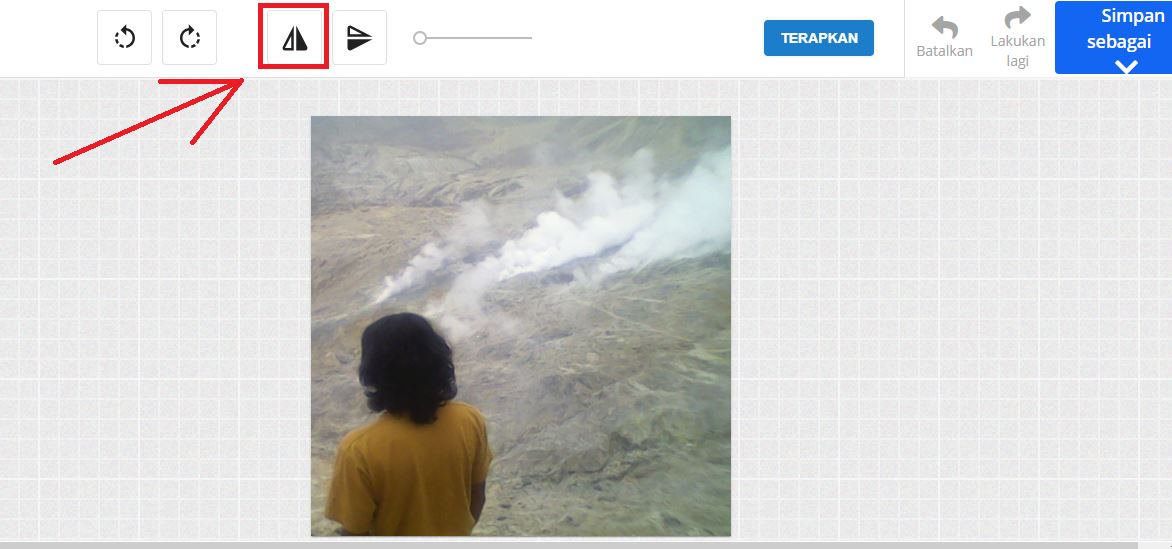 Cara Membalik Foto dari Kiri ke Kanan Online Tanpa Aplikasi